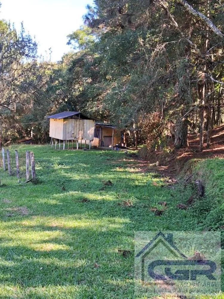 Chácara, 5 hectares - Foto 12