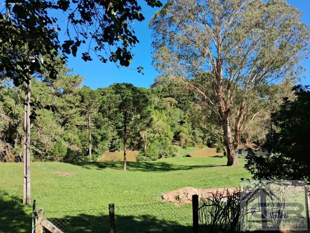 Chácara, 5 hectares - Foto 6