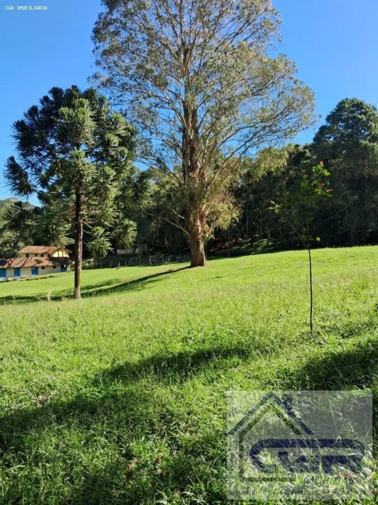 Chácara, 5 hectares - Foto 2