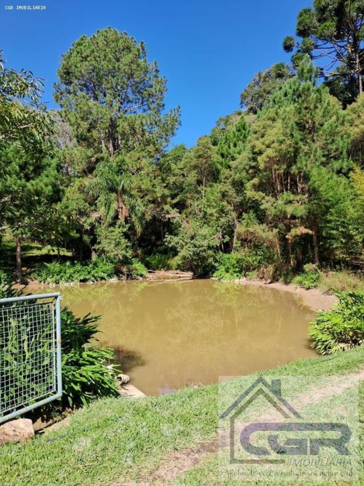 Chácara à venda, 45000m² - Foto 2