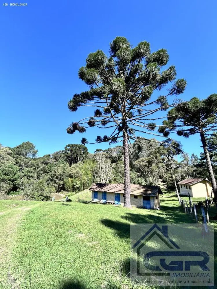 Chácara, 5 hectares - Foto 15
