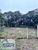Terreno, 625 m² - Foto 1
