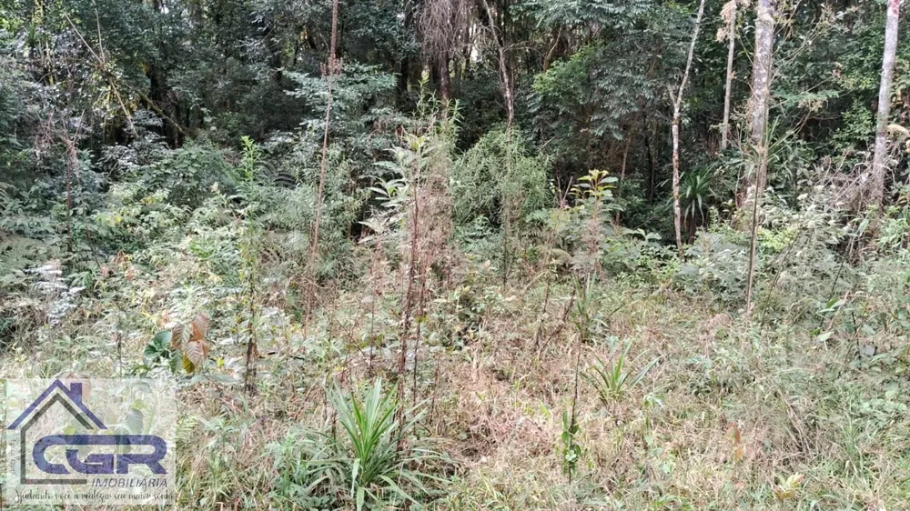 Loteamento e Condomínio, 3 hectares - Foto 1