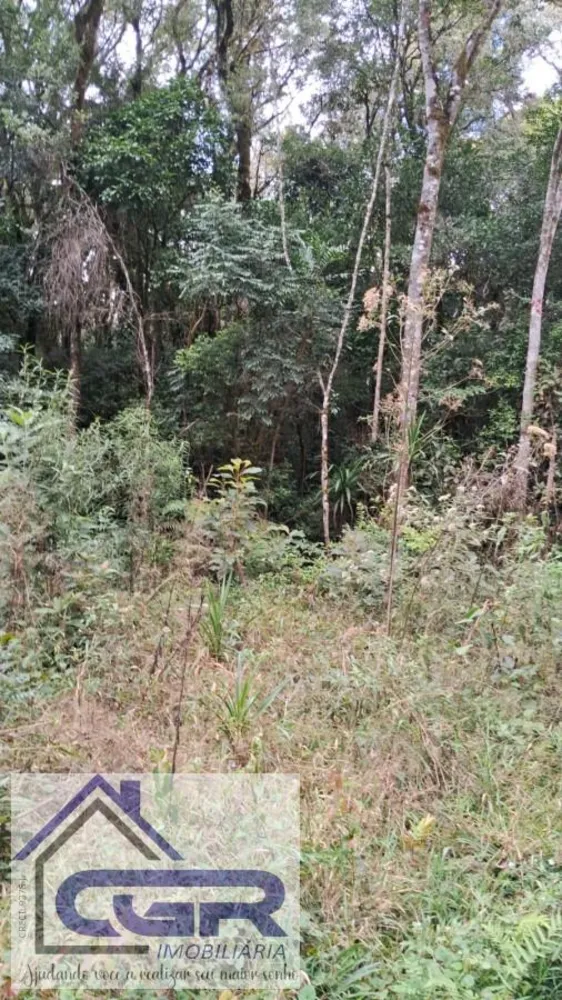 Loteamento e Condomínio, 3 hectares - Foto 2