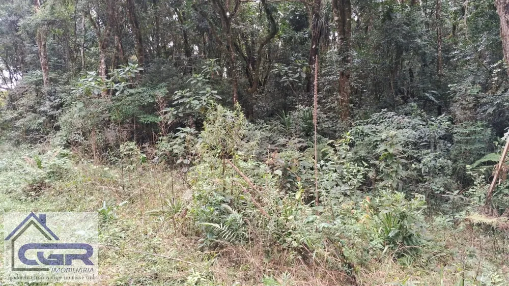 Loteamento e Condomínio, 3 hectares - Foto 3