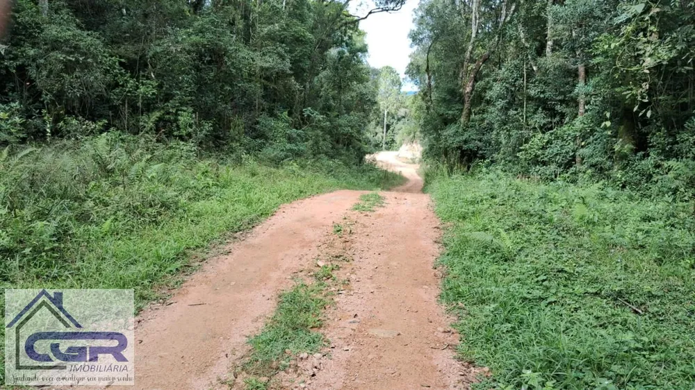 Loteamento e Condomínio, 3 hectares - Foto 4
