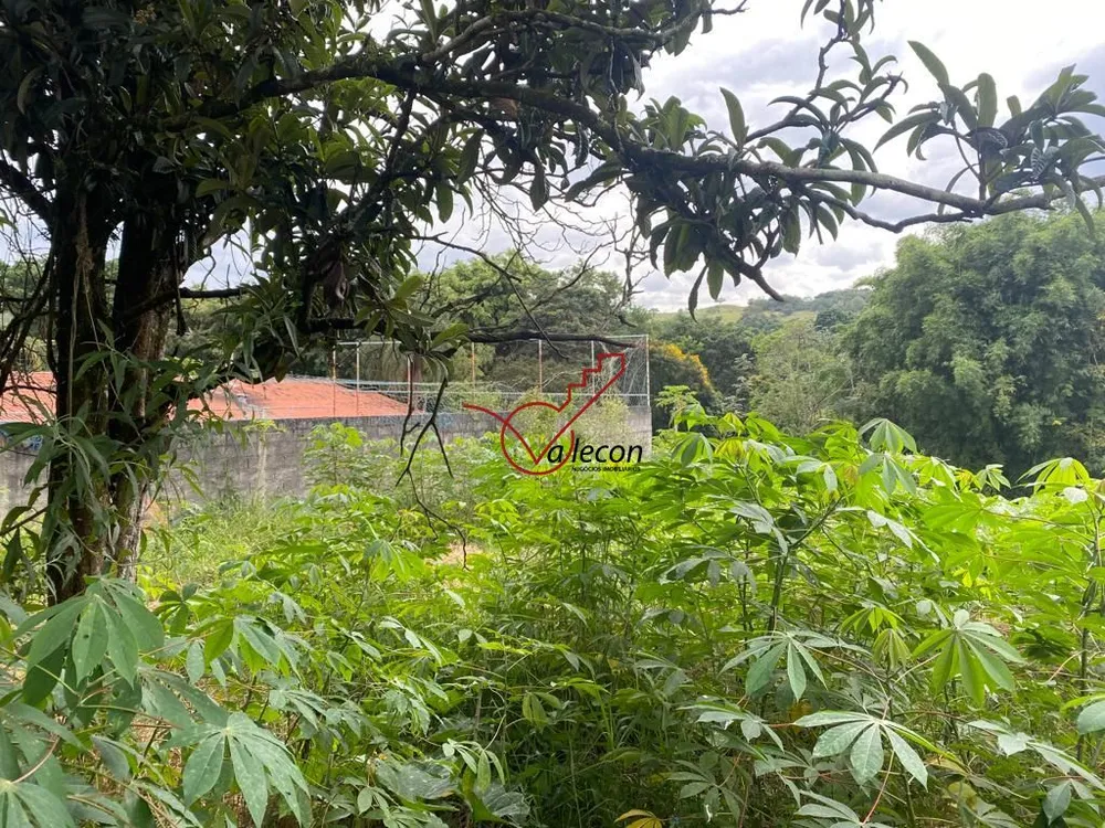 Chácara, 3 quartos, 8250 m² - Foto 9