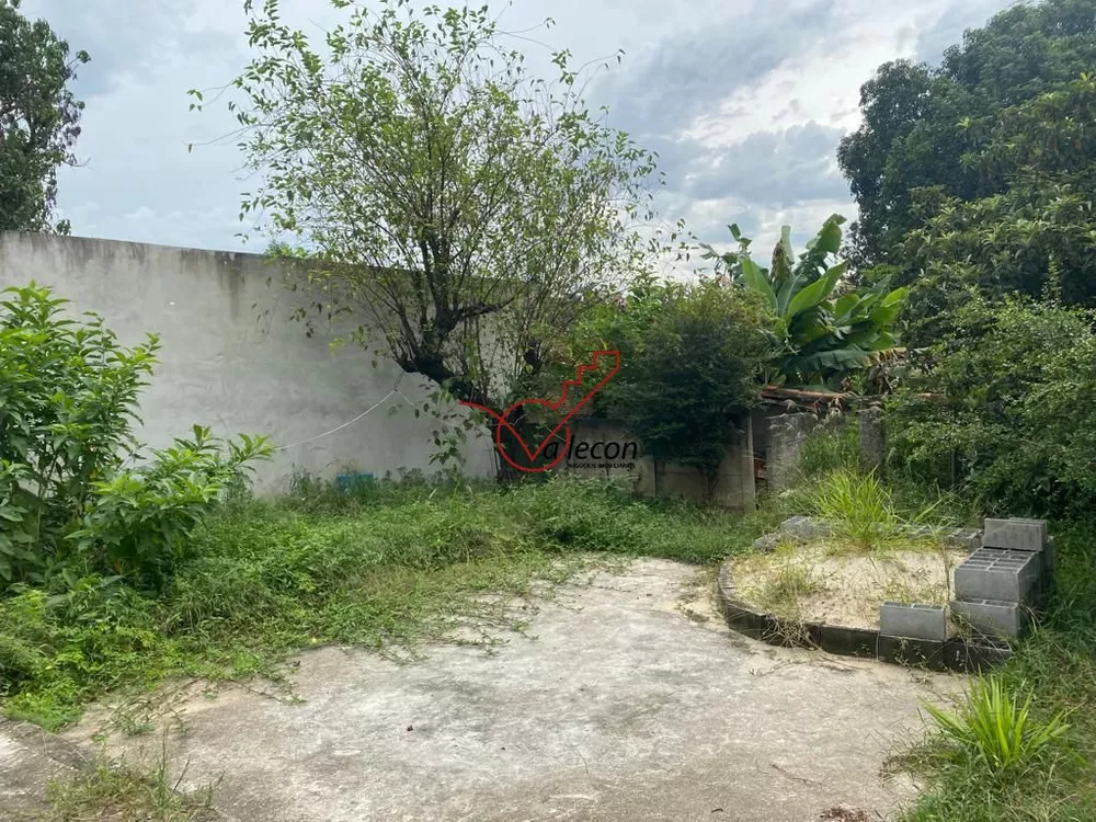 Chácara, 3 quartos, 8250 m² - Foto 4