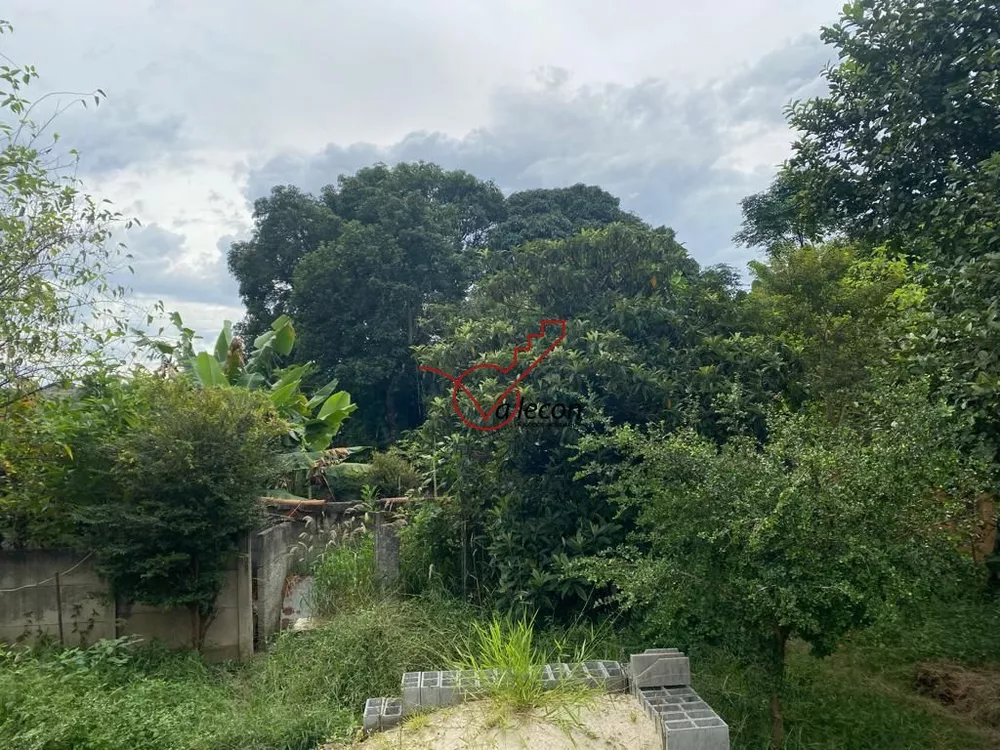 Chácara, 3 quartos, 8250 m² - Foto 1