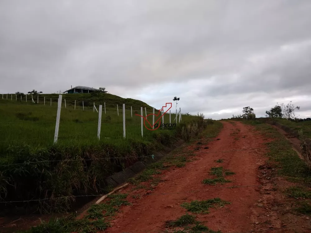 Terreno à venda, 30000m² - Foto 3