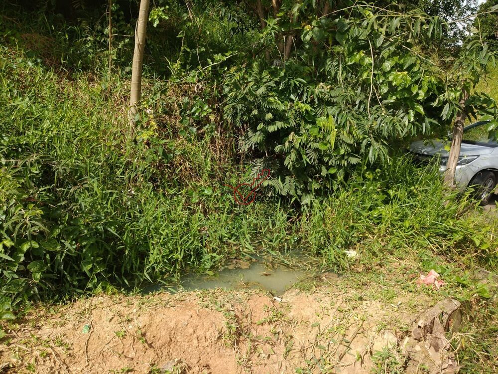 Terreno, 1000 m² - Foto 1