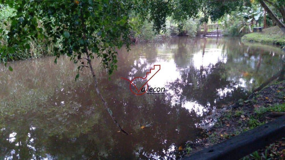 Chácara, 3 quartos, 3000 hectares - Foto 2