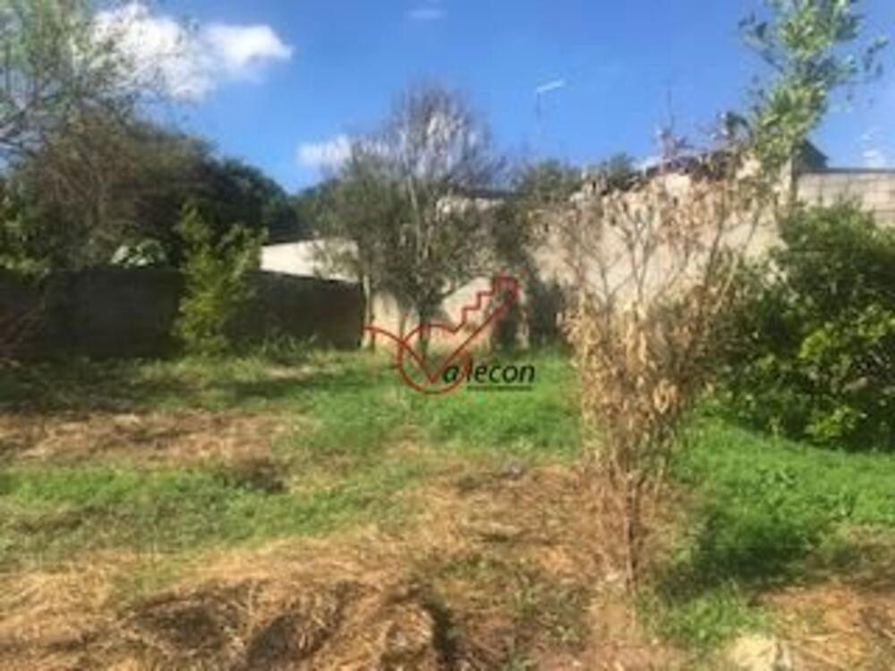 Chácara, 2 quartos, 10000 m² - Foto 4