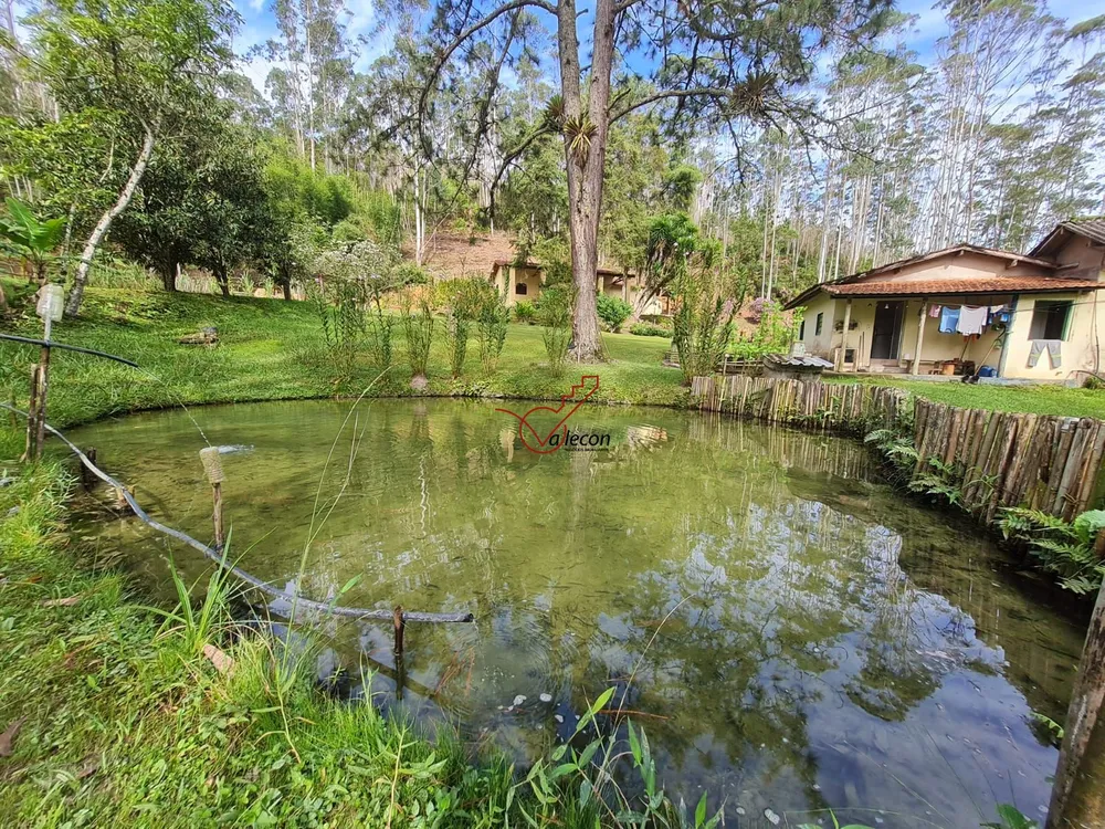 Sítio, 6 quartos, 7 hectares - Foto 1