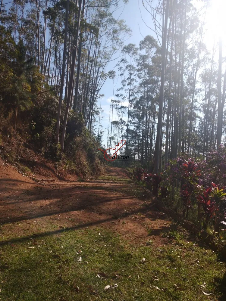 Sítio, 6 quartos, 7 hectares - Foto 6