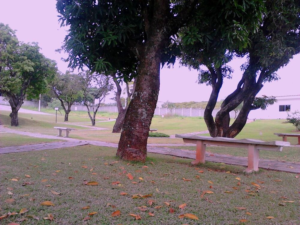 Sobrado, 3 quartos, 212 m² - Foto 2