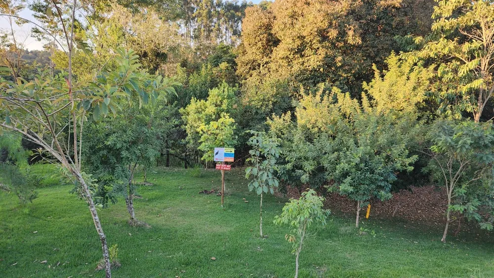 Terreno, 1000 m² - Foto 16