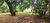 Terreno, 800 m² - Foto 5