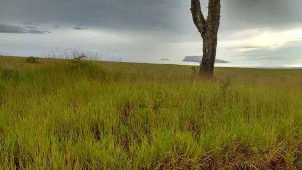 Chácara à venda com 2 quartos, 100m² - Foto 2