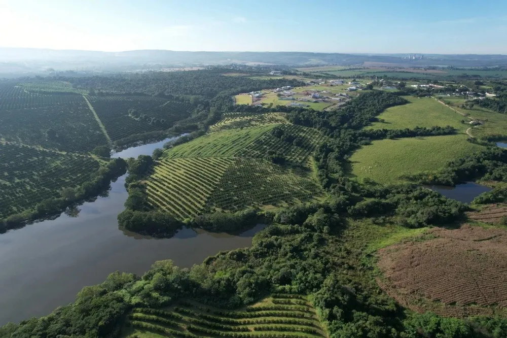 Terreno, 1000 m² - Foto 5