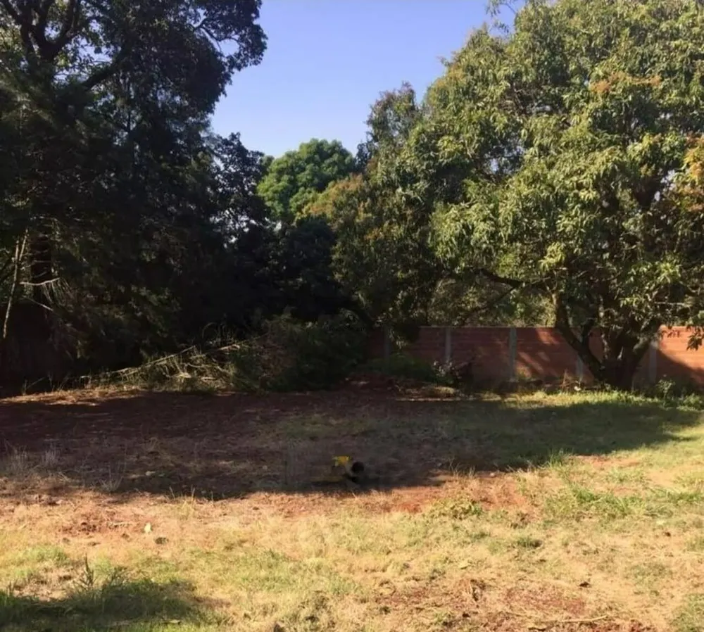 Terreno, 1000 m² - Foto 1