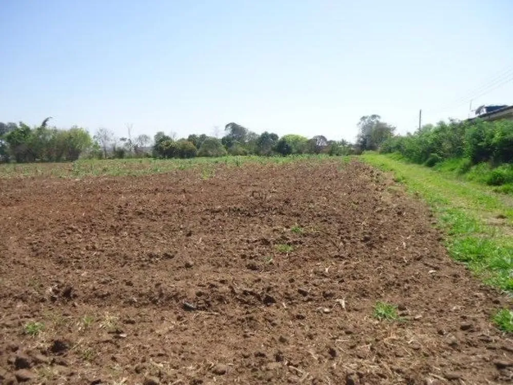 Terreno, 8 hectares - Foto 9