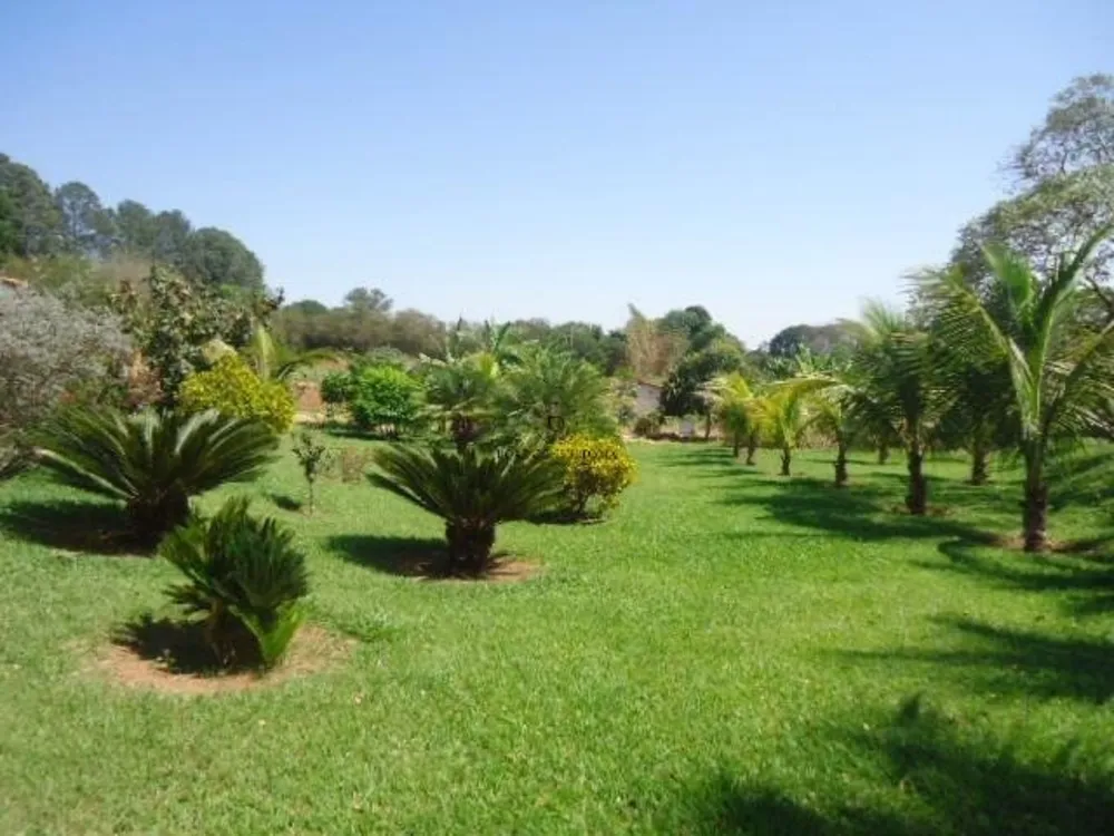 Terreno, 8 hectares - Foto 3