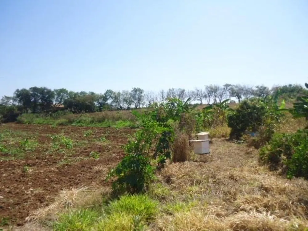 Terreno, 8 hectares - Foto 8