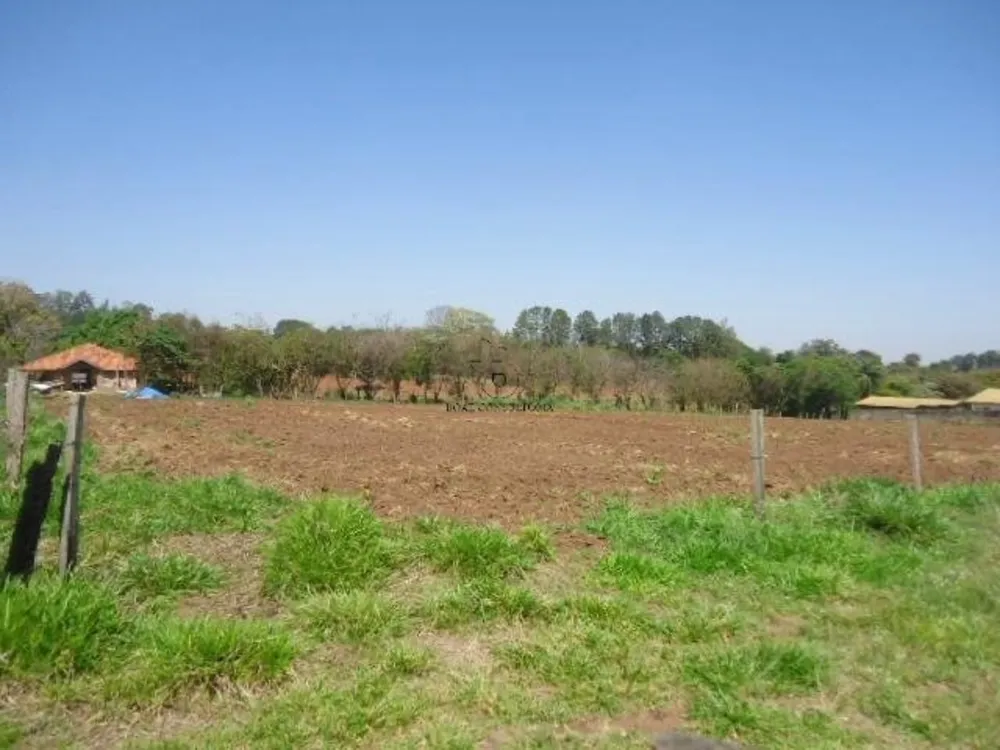 Terreno, 8 hectares - Foto 6