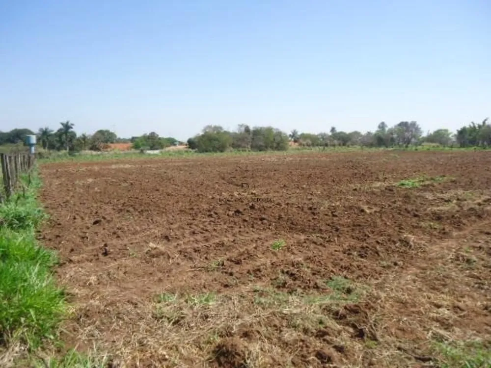 Terreno, 8 hectares - Foto 7