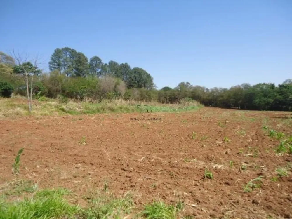 Terreno, 8 hectares - Foto 9