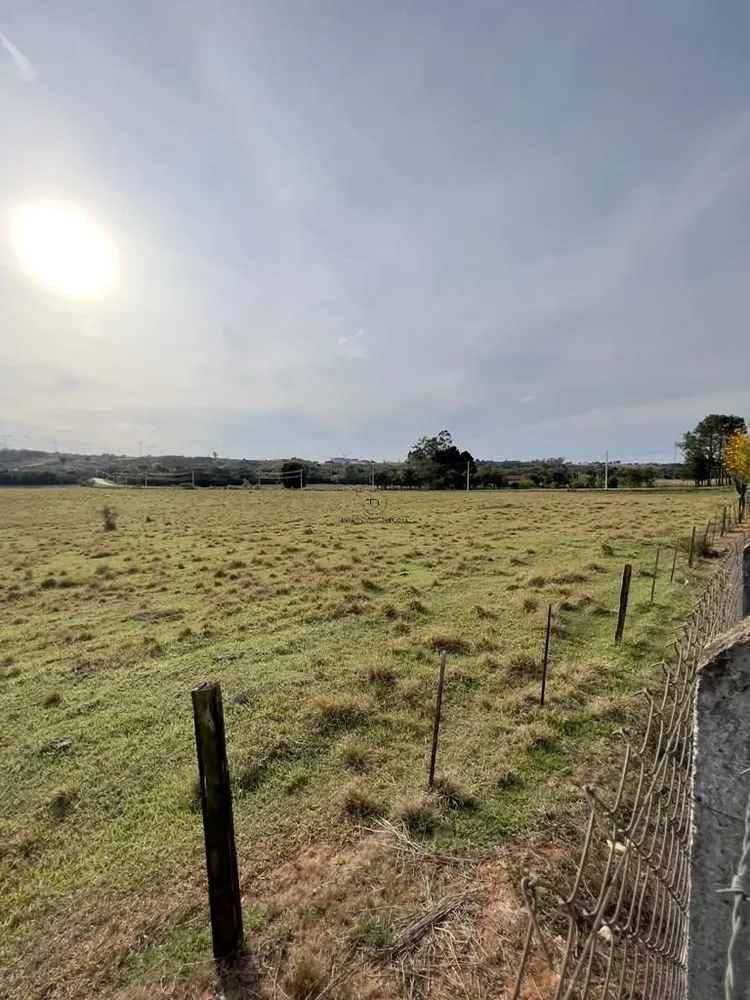 Terreno, 33 hectares - Foto 13