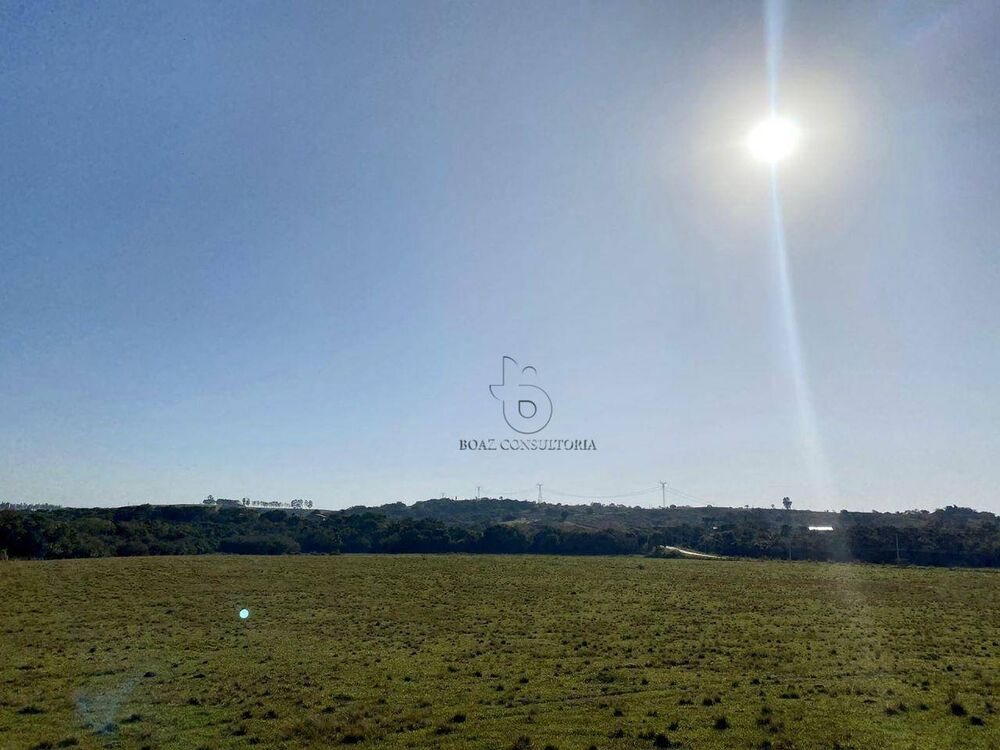 Terreno, 33 hectares - Foto 4