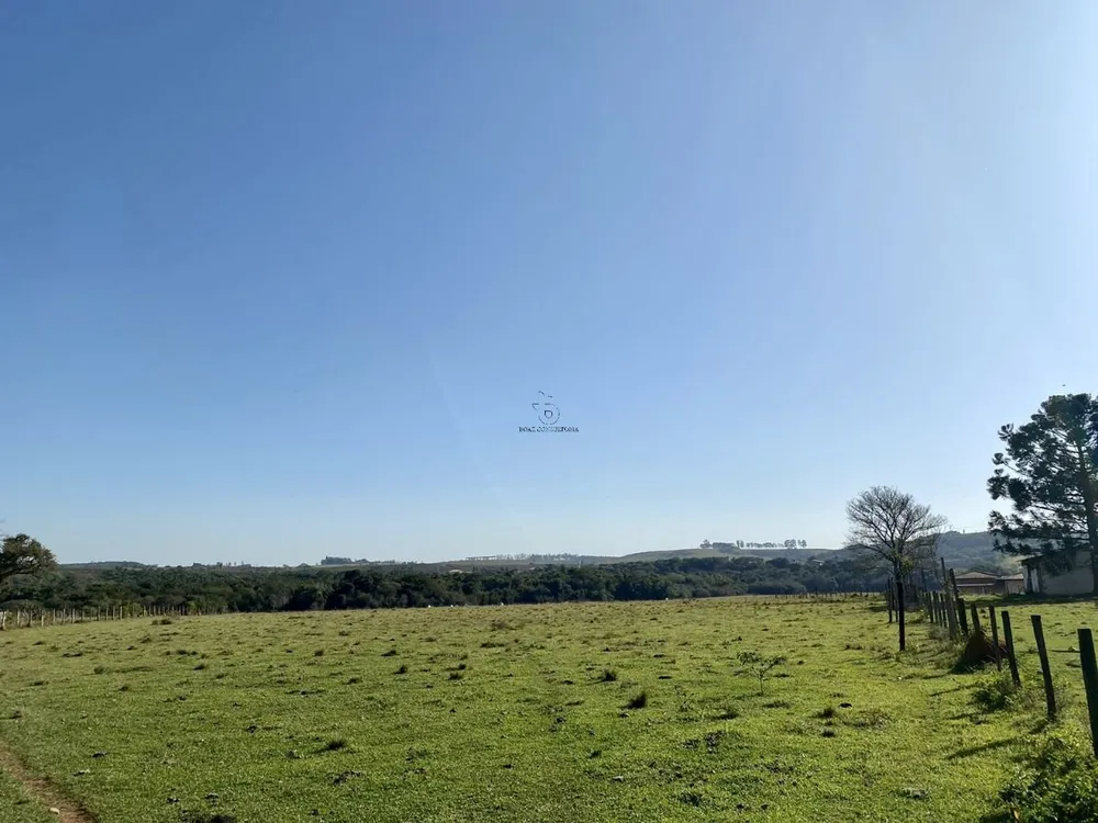 Terreno, 33 hectares - Foto 6