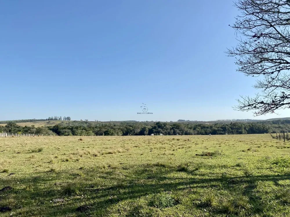 Terreno, 33 hectares - Foto 3