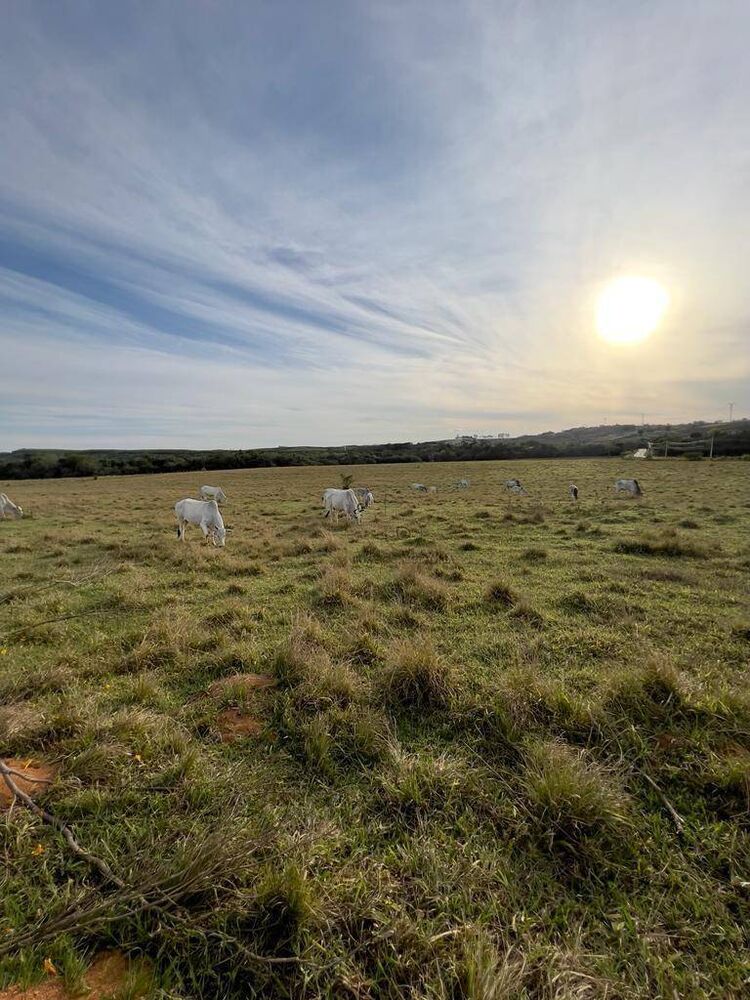 Terreno, 33 hectares - Foto 2