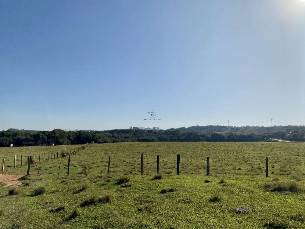 Terreno, 33 hectares - Foto 8