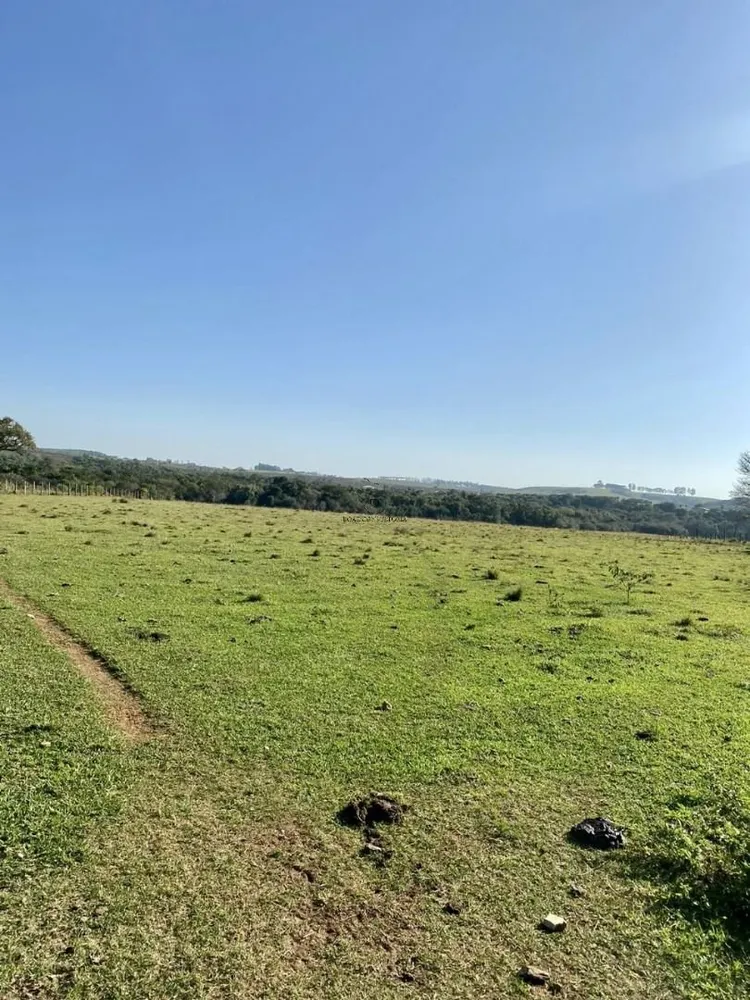 Terreno, 33 hectares - Foto 7