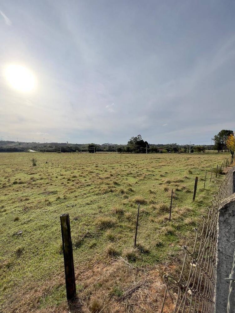 Terreno, 33 hectares - Foto 3