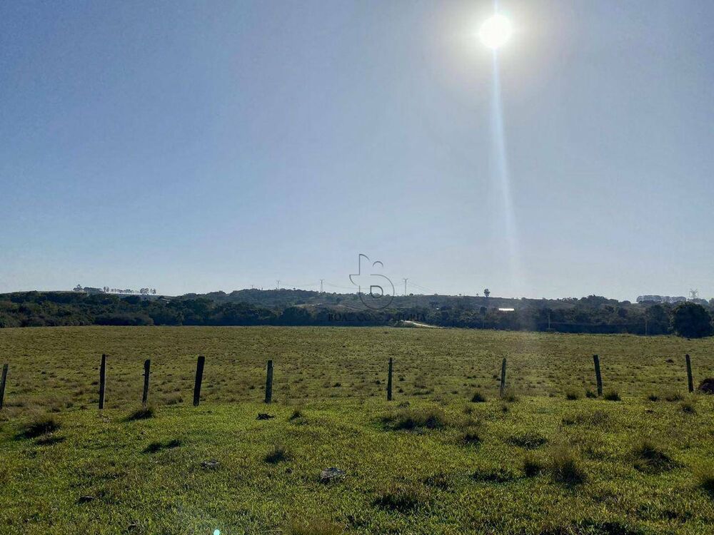 Terreno, 33 hectares - Foto 5