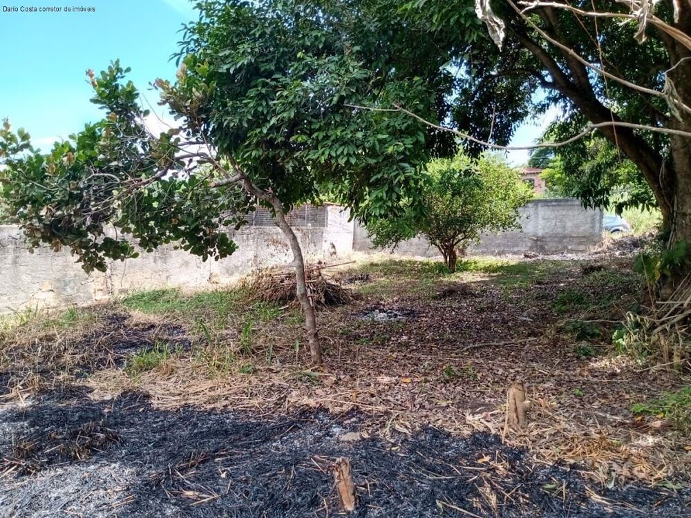 Terreno, 360 m² - Foto 13