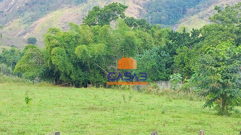 Terreno, 4 hectares - Foto 4