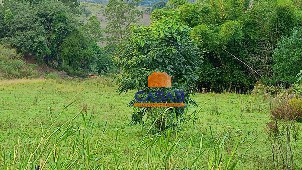 Terreno, 4 hectares - Foto 8