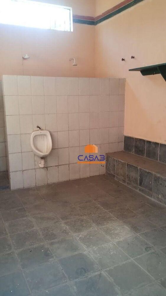 Terreno, 25 hectares - Foto 4