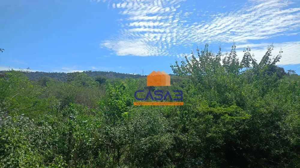 Terreno, 16 hectares - Foto 4