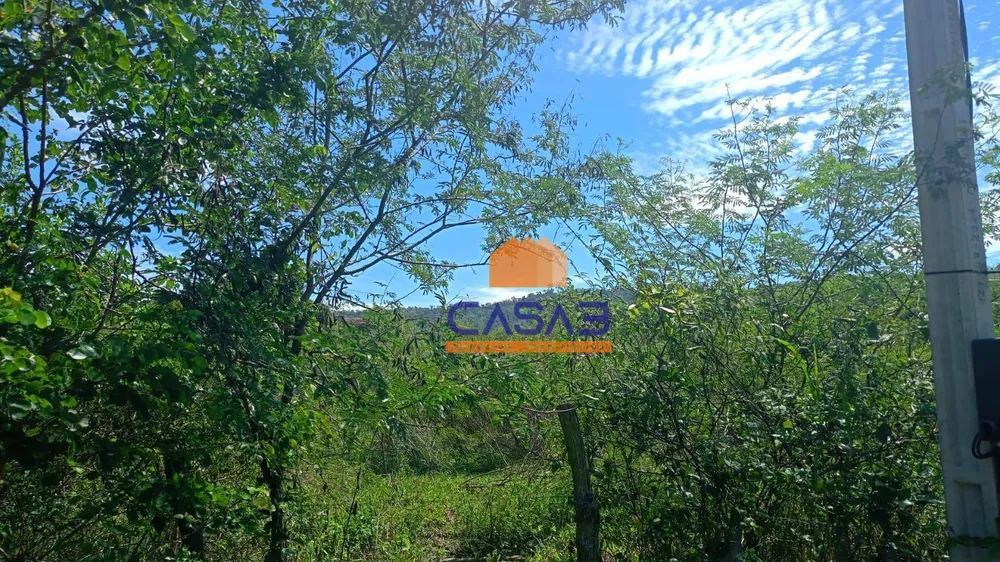 Terreno, 16 hectares - Foto 7
