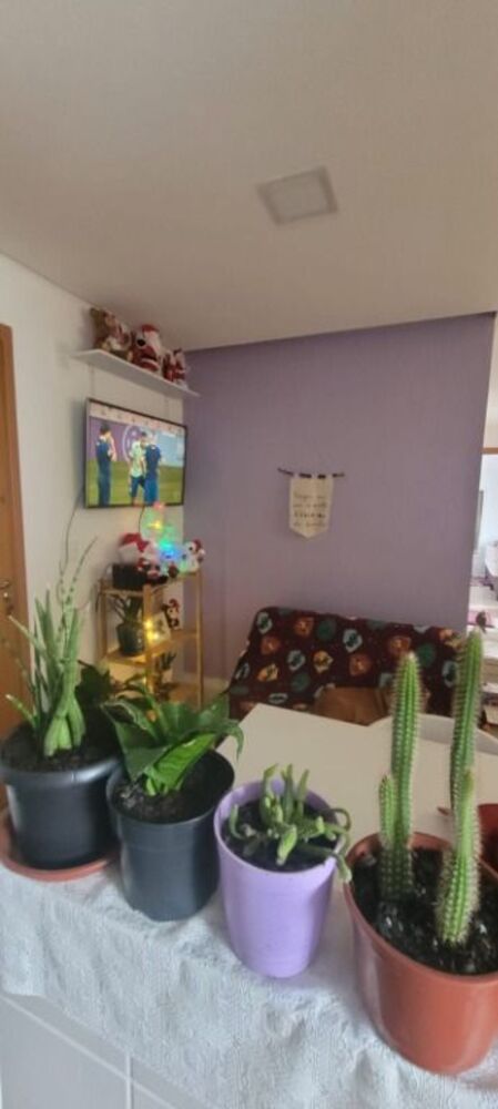 Apartamento à venda com 2 quartos, 44m² - Foto 1