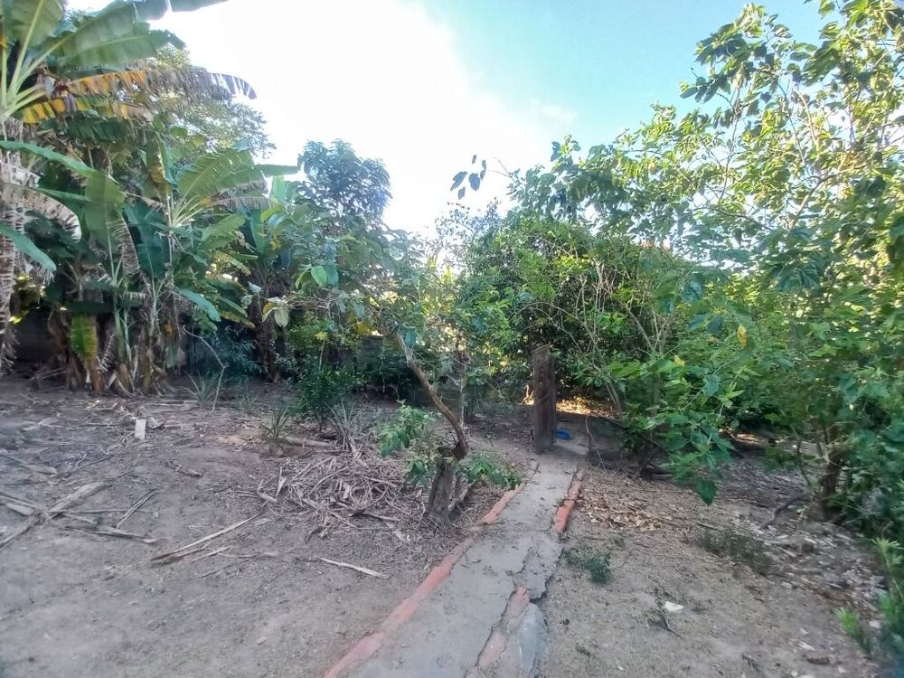 Chácara, 3 quartos, 2100 m² - Foto 9