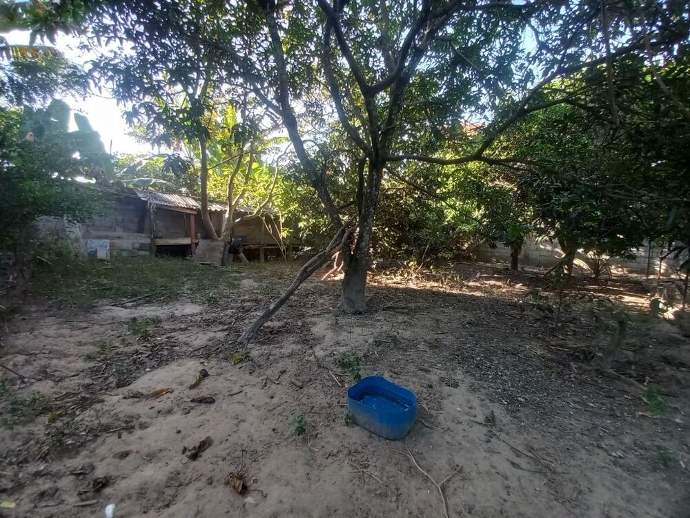 Chácara, 3 quartos, 2100 m² - Foto 10