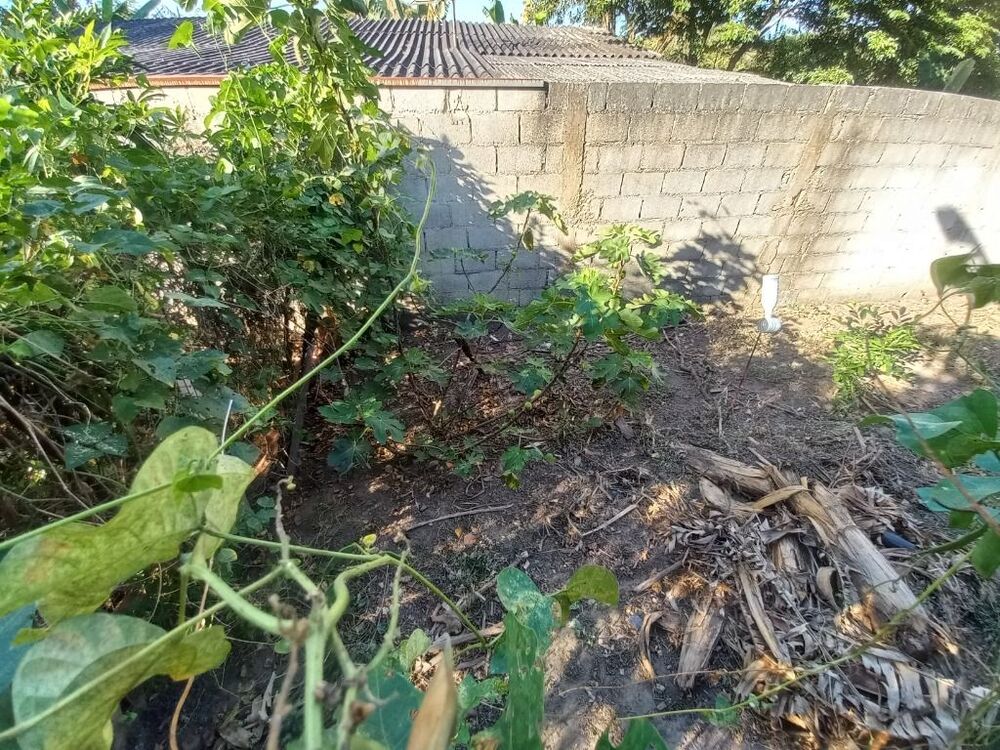 Chácara, 3 quartos, 2100 m² - Foto 11